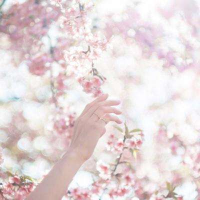 万博手机版app下载